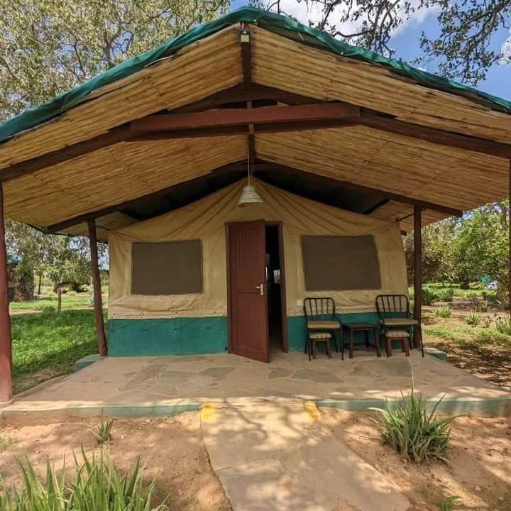Maasai Mara, Lago Nakuru, Amboseli, Tsavo Est e Tsavo Ovest